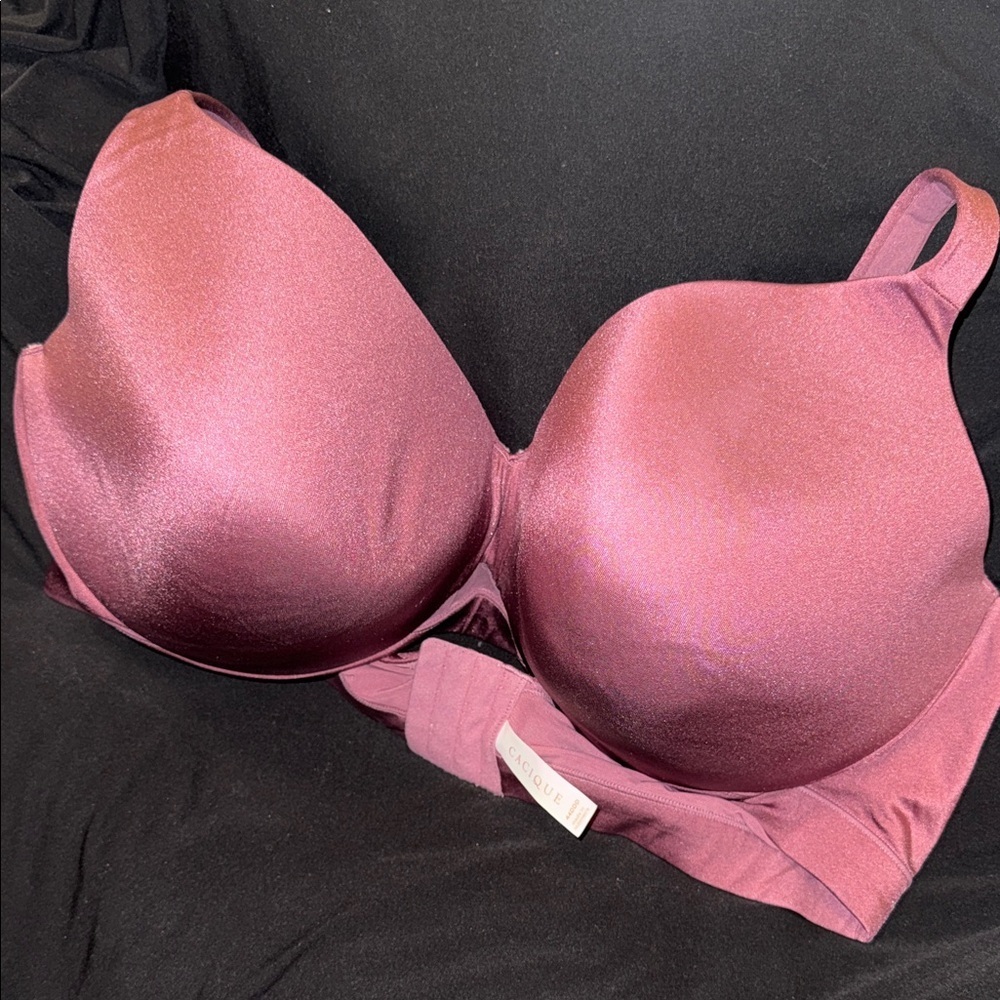Cacique Shimmering Mauve Bra